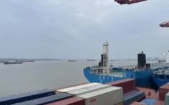 武汉阳逻集装箱港上半年完成集装箱吞吐量114万标箱