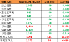 本期（2023年6月24~30日）中国内贸集装箱运价指数报1049点