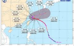 台风“卡努”登陆这些集装箱航线将会受到影响